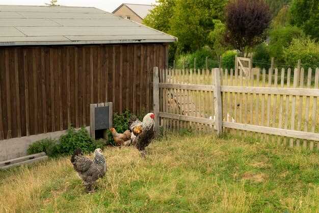 Схемы ухода и рационального использования ресурсов