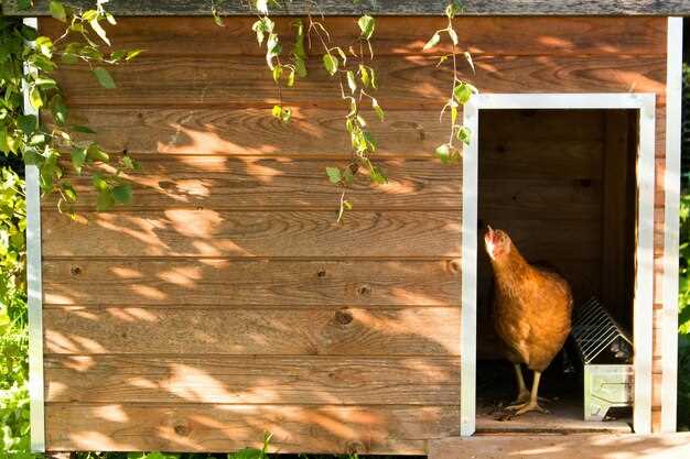 Теплица: как сочетать уход за растениями и содержание животных за круглогодичный урожай