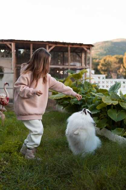 undefinedВентиляция и микроклимат:</strong> проектируйте приток у уровня пола, отвод – под потолком, чтобы обеспечить естественную конвекцию без холодных сквозняков. Размещайте регулируемые форточки по двум противоположным стенам и добейтесь суммарной площади проемов 0,25–0,40 м2. Летом держите их открытыми, зимой – регулируйте по погоде, чтобы не допустить обморожения. Все отверстия закрывайте сеткой с мелким шагом для защиты от насекомых и грызунов.»></p>
<p><strong>Утепление пола:</strong> для бетонного основания применяйте 50 мм экструдированного полистирола под стяжку, сверху кладете пароизоляцию и бетонируете слоем 40–60 мм. При устройстве пола на лагах между ними укладывайте 30–40 мм утеплителя и сверху настил из влагостойкой фанеры толщиной 18–22 мм; сверху – влагостойкое покрытие. В любом варианте обязательно используйте гидро- и пароизоляцию снизу и сверху, чтобы исключить образование конденсата и промерзания.</p>
<p><strong>Дополнительные нюансы:</strong> обустройте водоотвод вдоль длинной стены, разместите кормовую и поилочно-очередную зоны вдали от входа, чтобы снизить риск загрязнения. Для защиты от ветра и зайцев установите непродуваемую обшивку толщиной 15–20 мм по периметру, а вентиляционные отверстия закрывайте защитной сеткой с мелким ячейком. Регулярно очищайте лоток и пол, чтобы поддерживать чистоту и снижать риск заболеваний.</p>
<h2>Кролики: оптимальная планировка клеток, требования к пространству и график кормления</h2>
<p><img decoding=