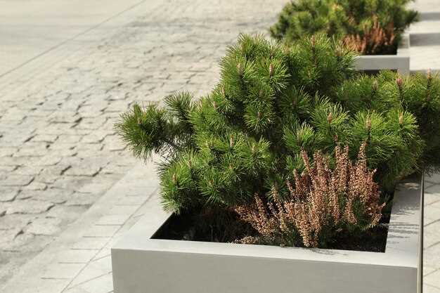 Начните сезон с точной сметы расходов и компактного набора надёжных инструментов: секатор с прямым резом, ручная лопатка, совок, грабли и ножницы для кустарников.