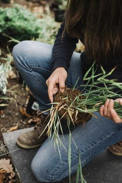 Кора подходит для плодово-ягодных кустарников и многолетних культур, а также вокруг растений, требующих длительного укрытия почвы: слой 5–7 см обеспечивает долговременную защиту от выпавших осадков и эрозии, а также уменьшает испарение. В компрессии древесная кора поднимает кислотность почвы и может замедлять проникновение воды, поэтому перед применением проверьте pH и, при необходимости, скорректируйте известью; держите расстояние до стеблей не менее 5 см, чтобы избежать гниения основы.