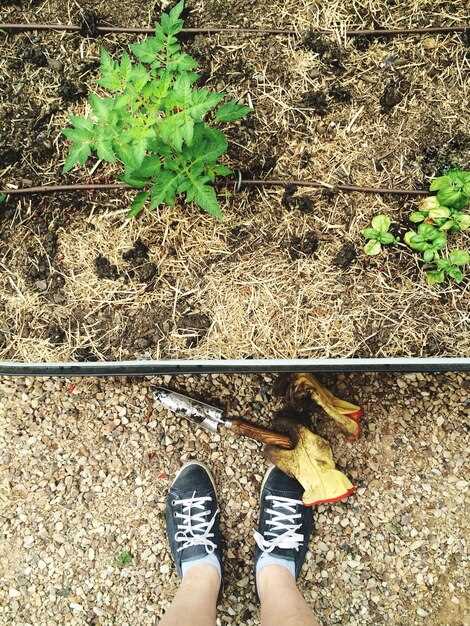 Выбор материала мульчи по культуре: солома, кора, компост и агроволокно – когда и зачем использовать каждый вариант