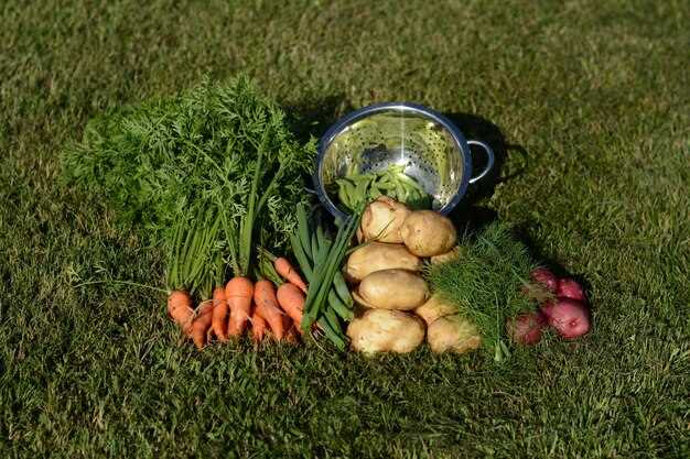 Этапы сезонной подготовки: 1) расчистка участка, 2) закладка компоста, 3) посев сидератов, 4) заделка зелени мульчей, 5) повторная обработка верхнего слоя после созревания сидератов. Участок становится готовым к размещению культур на следующий цикл.