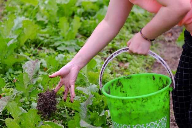 Сидераты улучшают структуру почвы, удерживают влагу, подавляют вредителей и снижают эрозийный риск. Включайте смеси, где 20–40% приходится на бобовые компоненты, остальное – на злаки и травы; зелёная масса после уборки вносится под перекопку.