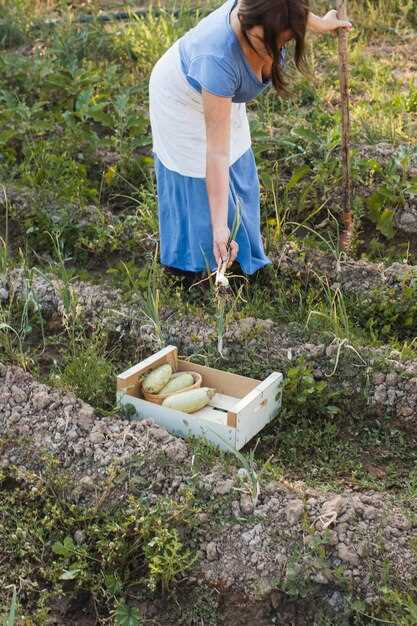 Как подготовить почву без химии: компост, сидераты и мульча по шагам