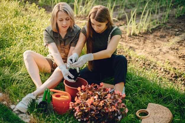 Полив на старте, мульчирование и профилактика болезней: как сохранить всходы здоровыми