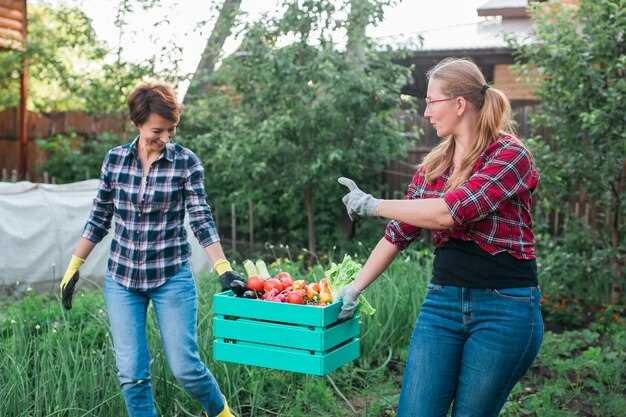 oshibki pri posadke ovoshej kotorie sovershayut dazhe opitnie dachniki