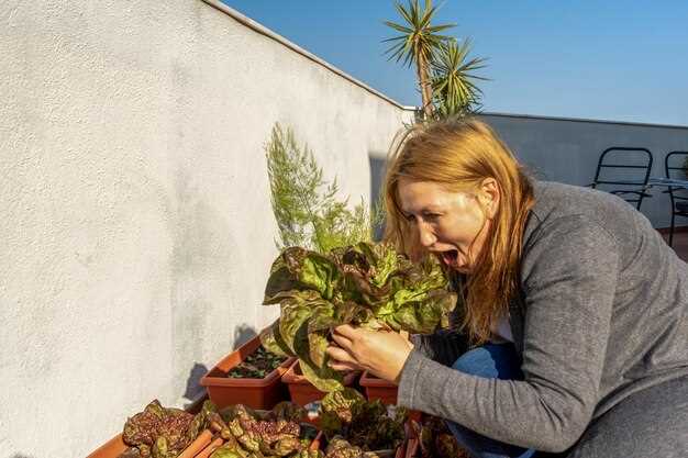 Глубина заделки семян ориентирована на размер семени: мелкие 0,5–1 см, средние 1–2 см, крупные 2–4 см. Уплотнение после заделки обеспечивает контакт с почвой и быстрые всходы.