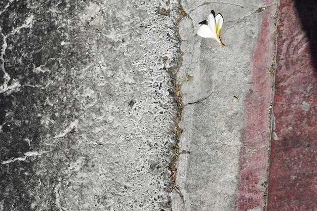 Температура воздуха играет ключевую роль. При низких значениях (ниже 5°C) смесь может замерзнуть, что приведет к нарушению структуры. Рекомендуется использовать добавки для зимней заливки или изоляционные покрытия, чтобы сохранить тепло. При превышении 30°C целесообразно применять методы охлаждения – тень, укрывной материал или охлажденные компоненты.