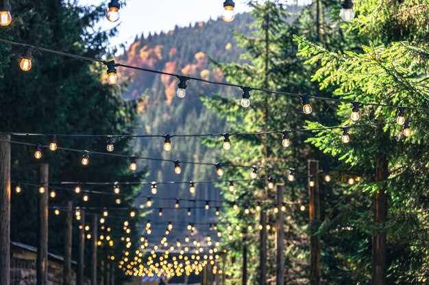 Расположение: вдоль ограды и по краям дорожек, на высоте 1,5–2,0 м над поверхностью; нити держите на расстоянии 0,3–0,5 м от растений; избегайте направлять лишний свет в окна соседей.