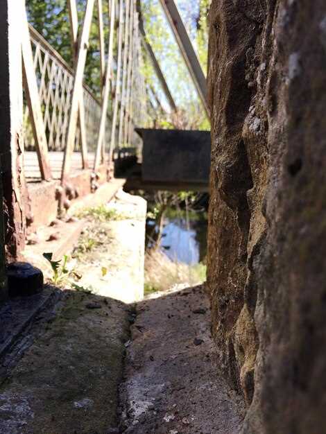 Выбор места и проекта погреба: грунтовые условия, уровень грунтовых вод и доступ к коммуникациям