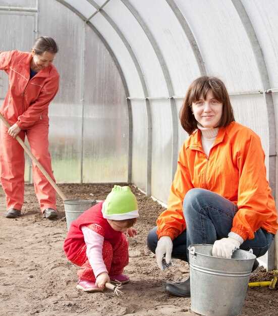 Строительная последовательность: фундамент, кладка, вентиляция и внутреннее обустройство