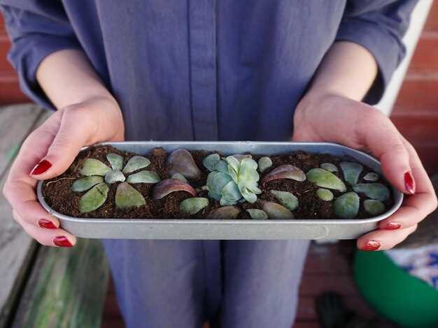 Практические схемы размещения