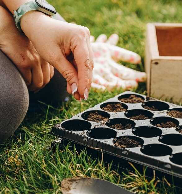 Оптимальное размещение и режим питания