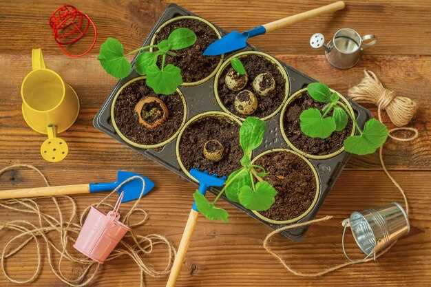 Огурцам рядом с укропом, базиликом и бархатцами: какие растения снижают вредителей