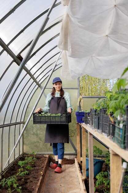 Планируйте размещение так, чтобы между рядами проходы были 0,5–0,6 м, а между грядками оставалось 0,6 м для доступа и уборки. Разнесите периферийные зоны так, чтобы южная стенка держала основные посадки, а торцевые участки служили под полки и теплую зону. Это упрощает обогрев, уплотняет контура и снижает теплопотери за счет минимального контура ограждения.