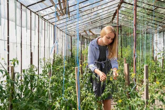 undefinedКонкретика по площади под культуры:</em> урожайность помидоров в условиях теплицы составляет примерно 8–12 кг/м2 за сезон, огурцов – 12–18 кг/м2; зелень дает 20–40 кг/м2 в год. Приоритетно разделите участок так, чтобы на зоне под помидоры приходилось 4–6 м2, под огурцы – 2–3 м2, под зелень – 1–2 м2. В итоге для сбора порядка 60–90 кг продукции за сезон достаточно 7–9 м2 полезной площади.»></p>
<p>Полезная рекомендация по раскладке: обеспечьте доступ к воде по краю, подключите капельный полив и дренажную систему под полом; конструкцию закрепите так, чтобы теплоизолирующие панели можно было быстро снять для уборки и ремонта. В конце года предусмотрите возможность сезонной модернизации: замена панели или добавление второй линии вентиляции не нарушит общий баланс.</p>
<p><img decoding=