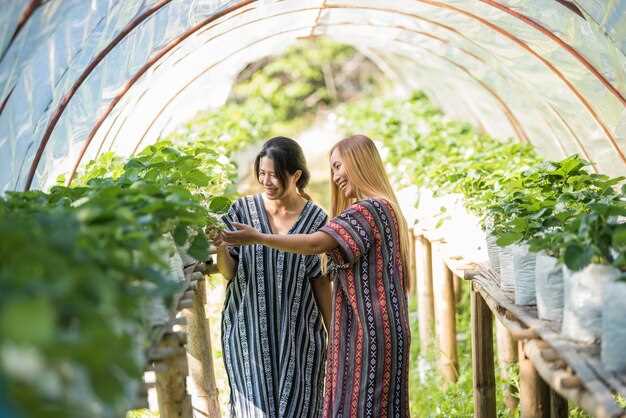 Оптимальный вариант для участка с переменной погодой – алюминиевый каркас с защитной обработкой и крепежом из нержавеющей стали: срок службы около 25–30 лет и минимальное обслуживание.