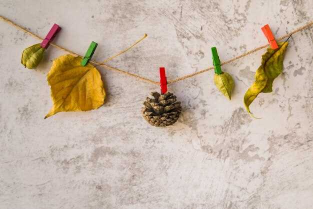 Этап 4: питание и сборка. Проложите провода через горлышко или крышку, подключите концы к блоку 12 В через выключатель; применяйте термостойкие зажимы, чтобы кабели не выходили наружу; заполнение края крышки силиконовым герметиком защищает от влаги.