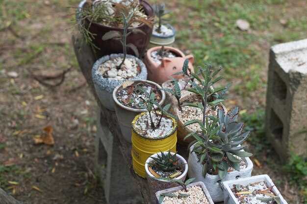 Дорожные участки размещайте вдоль клумб, создавая узоры спиралей или зигзагов; заполняйте промежутки галькой или мелким камнем, чтобы снизить высоту выпирающих элементов и снизить риск спотыкания. Уход прост: после осадков промойте поверхность щёткой, обновляйте цвет акрилом по мере необходимости и нанесите защитный слой лака раз в сезон.