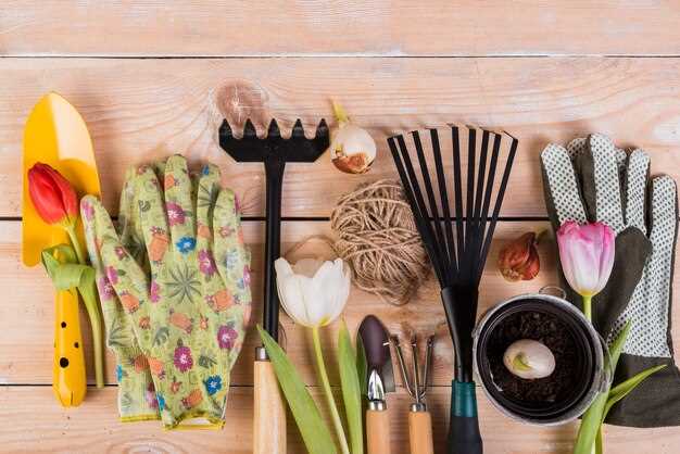 Внешняя отделка и декоративные приемы