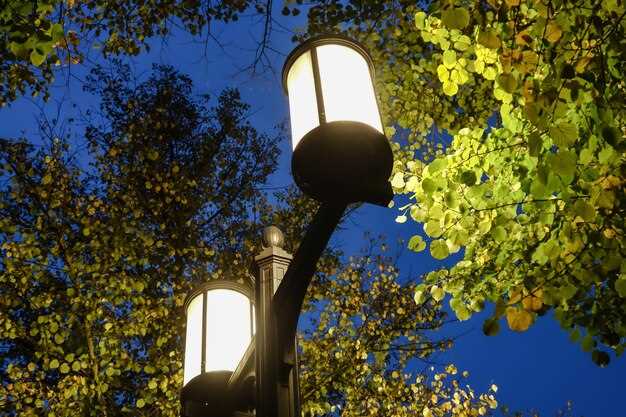 Энергоэффективные системы уличного освещения: солнечные панели и аккумуляторы