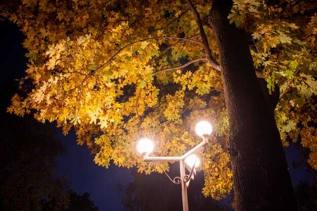 Кроме того, использование солнечных панелей для питания светильников открывает новые горизонты для автономного освещения. Это улучшает устойчивость системы к перебоям с электричеством и позволяет сократить затраты на подключение к централизованным сетям.