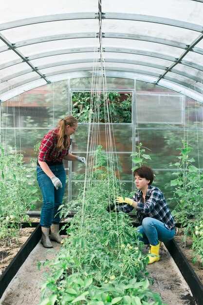 Как организовать автоматическое проветривание: выбор створок, вентиляторов и режимов работы