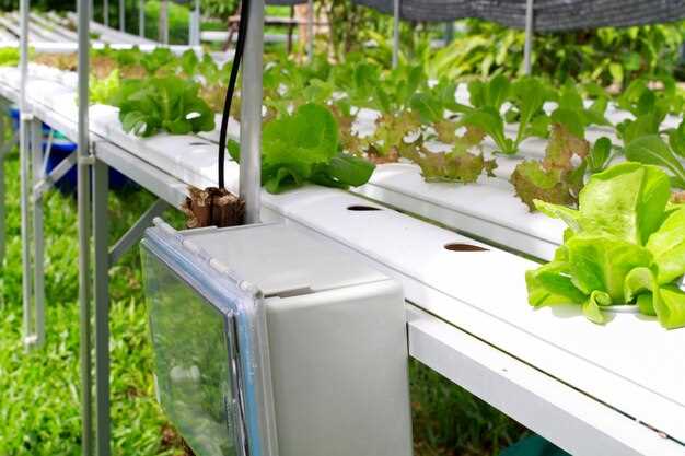 Определите базовые значения FC (полная влагоемкость) и WP (точка увядания) для вашего грунта: песок – нижний порог 0,10–0,12 м³/м³, верхний 0,16–0,18 м³/м³; суглинок – нижний 0,20–0,22 м³/м³, верхний 0,28–0,30 м³/м³; глина – нижний 0,28–0,30 м³/м³, верхний 0,36–0,38 м³/м³. Нижний порог запуска увлажнения, верхний порог прекращения его. Гистерезис держите в диапазоне 0,04–0,08 м³/м³ (или 6–8% от междупорогового диапазона). В фазе активного роста культуры поддерживайте более высокие значения, в период подготовки к цветению – умеренные. По смене грунта или культуры повторно выполняйте калибровку датчиков и корректируйте пороги.