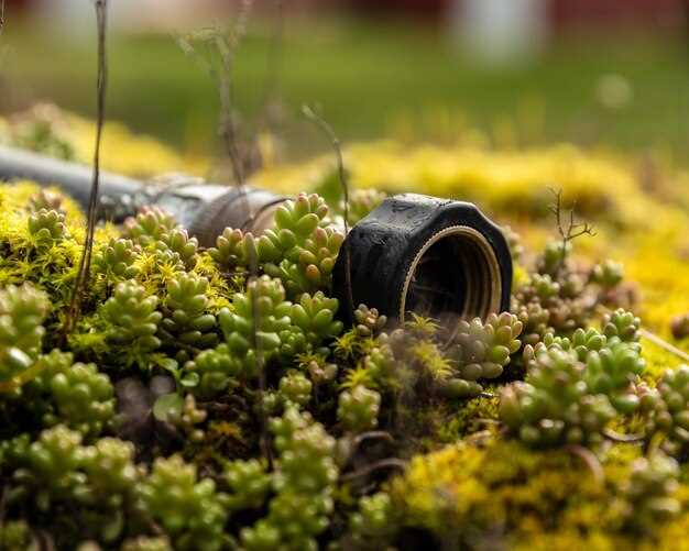 Монтаж: глубина закладки, подключение и требования к дренажу