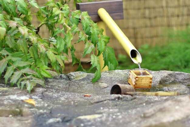 Обслуживание и эксплуатация: график промывки, очистка фильтров и подготовка к зиме