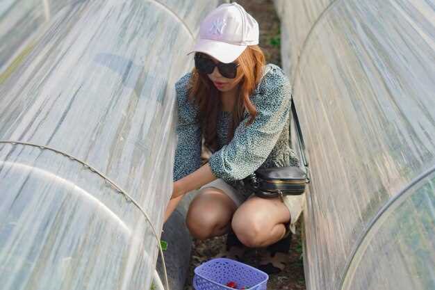 Практические схемы по условиям участка