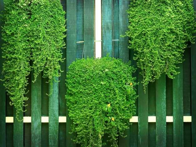 Для условий освещения подбирайте смеси растений по зонам. undefinedВ затенённых местах – плющ обыкновенный, папоротники и мелколистные кустарники; на ярко освещённых фасадах хорошо смотрятся клематисы, виноградоподобные лозы; в сухих участках – суккуленты и мхи.</strong> Размещайте по высоте: нижний ярус – травы и низкие культуры, верхний – цепляющиеся лозы.»></p>
<p><em>Уход включает обрезку два раза за сезон, удаление увядших побегов, подкормку комплексными удобрениями в начале весны и повторно в период активного роста с нормой 0,3–0,6 кг питательных элементов на м² за сезон. Для противостояния вредителям применяйте биопрепараты по инструкции производителей, избегая переполивов.</em></p>
<p><img decoding=