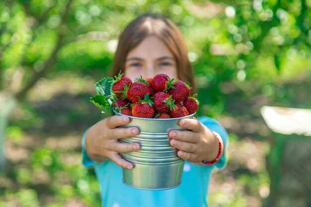 Выбор сортов и календарь плодоношения для круглогодичного выращивания