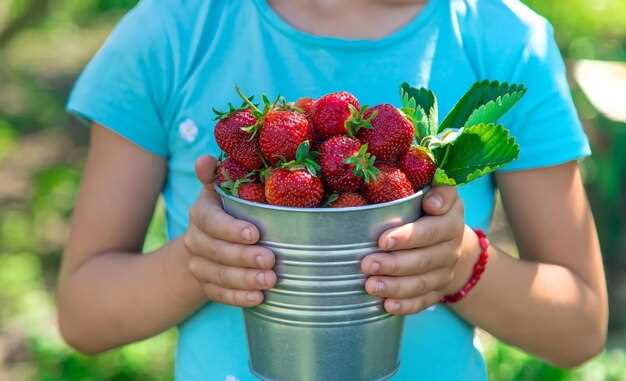 Календарь по фазам: январь–март – подготовка кустов в тепле: поддерживайте 16–18 °C днём, 12–14 °C ночью; вносите удобрения по схеме с низким содержанием азота и достаточным калием и фосфором, используйте подсветку 12–14 часов и поддерживайте влагу на уровне умеренной влажности. апрель–май – запуск первой волны в тепличной зоне: оптимальная температура днём 18–22 °C, ночью 12–15 °C; проветривайте для предотвращения перегрева и контролируйте заражения. июнь–август – пик плодоношения: держите световой режим 14–16 часов, температуру 20–22 °C днём, 14–16 °C ночью; обильный полив и регулярная подкормка калием и фосфором. сентябрь–октябрь – повторная волна на защитном укрытии: создавайте прохладу ночью 12–15 °C, дневной свет 16–20 °C; проходящие волны плодоношения осторожно подкармливайте микроэлементами. ноябрь–декабрь – зимний цикл под подсветкой: подборка ярким светом 12–14 часов, температура удерживается в диапазоне 16–18 °C днем и 12–14 °C ночью; используйте влагу умеренно и держите систему защиты от сквозняков.