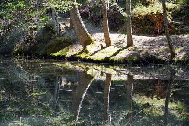 За пределами 60 м² формируется многофункциональная композиция с несколькими водными поверхностями, насос 600–1500 Вт, объём 4000–12000 л; создайте зоны отдыха на берегу.