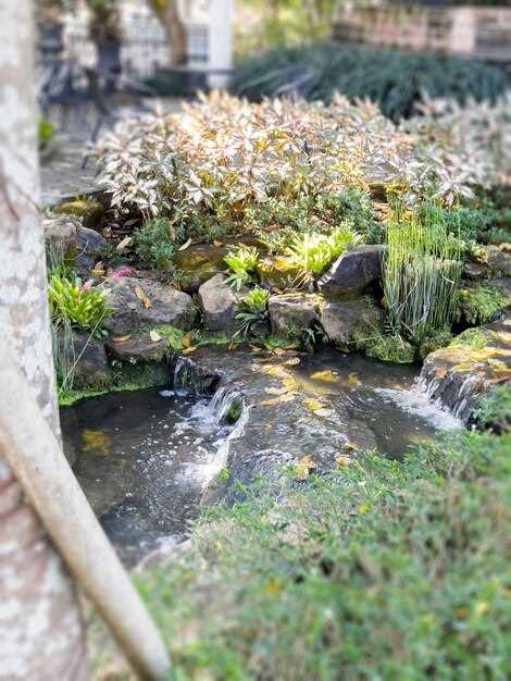 Насосы, фильтры и безопасность электропитания