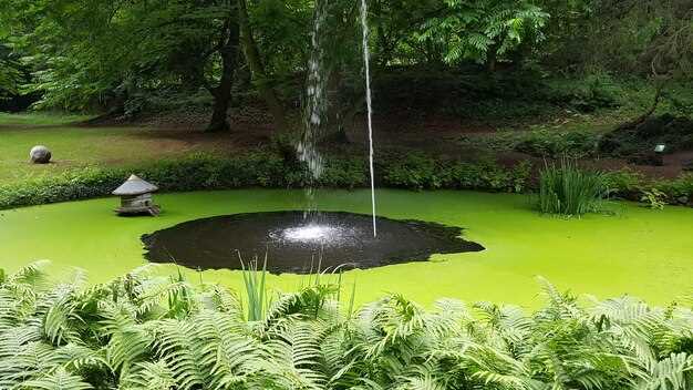 Насос подбирайте по расходу: для небольшого резервуара диапазон undefined800–2500 л/ч</strong>, подъёмная высота 1–2 м; для протяжённых линий – <strong>3000–6000 л/ч</strong>, подъём до 3–4 м. Выбирайте модель с защитой <em>IP68</em> и плавной регуляцией расхода. Устройства должны быть легко обслуживаемыми, с заменяемыми фильтрующими элементами и доступными уплотнениями. В станцию добавьте дренажный узел, запасные картриджи и биологическое звено, обеспечивающее чистоту водного потока.»></p>
<p>Фильтрация состоит из механической и биологической ступеней; рекомендуются модульные схемы: первичный картридж для частиц >50 мкм, биоматериал для разложения органики, второй фильтр для тонкой очистки. Монтаж осуществляйте с учётом простого доступа к элементам замены. Отдельная ветка питания, влагозащитные розетки и <strong>УЗО</strong> на 30 мА повышают безопасность. Световые приборы для внешнего применения выбирайте с рейтингом <em>IP65</em> или выше; кабели – влагостойкие, а соединения – защищены от влаги и солнечных лучей. Регулярно проверяйте заземление и целостность источников питания, особенно на участках вокруг чаши.</p>
<p><img decoding=