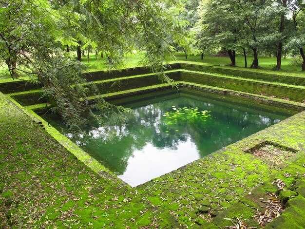 Уход за водой предусматривает регулярный контроль значения pH в диапазоне 6,8–7,4, удаление мусора и промывку насоса раз в неделю. Дополнительно размещайте растительную часть, которая не перегружает водную поверхность; она добавляет биологическую стабильность и не требует сложного питания.